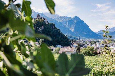 Schloss Vaduz Schloss Vaduz